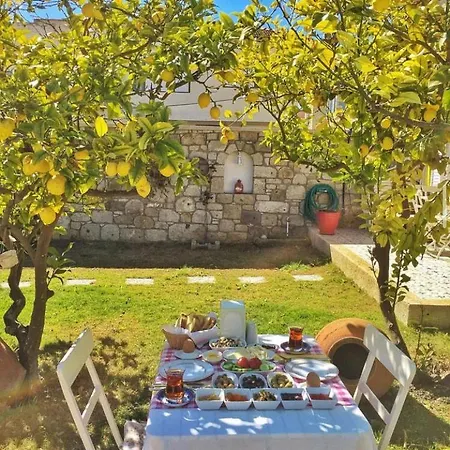 Demir Alacati Çeşme